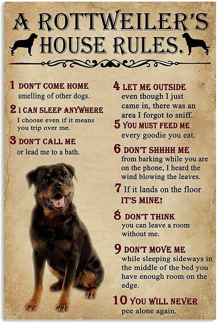 Home Office New Rules - A Rottweiler;S House Rules Metal Tin