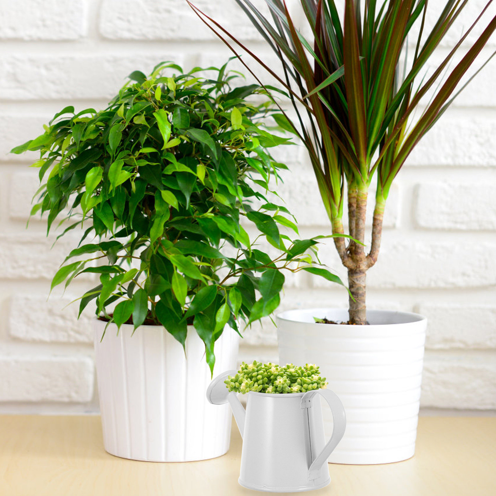 Home Office With Bookshelves - Miniature Iron Watering Can for Succulents