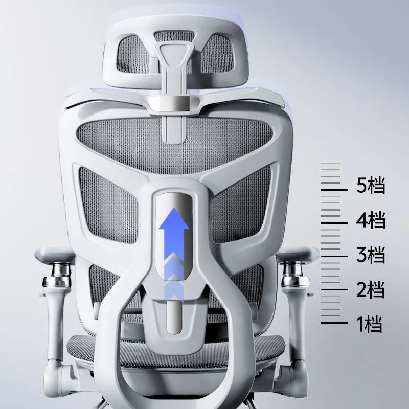 Ergonomic Computer Chair with  - Home Office Work recension och pris