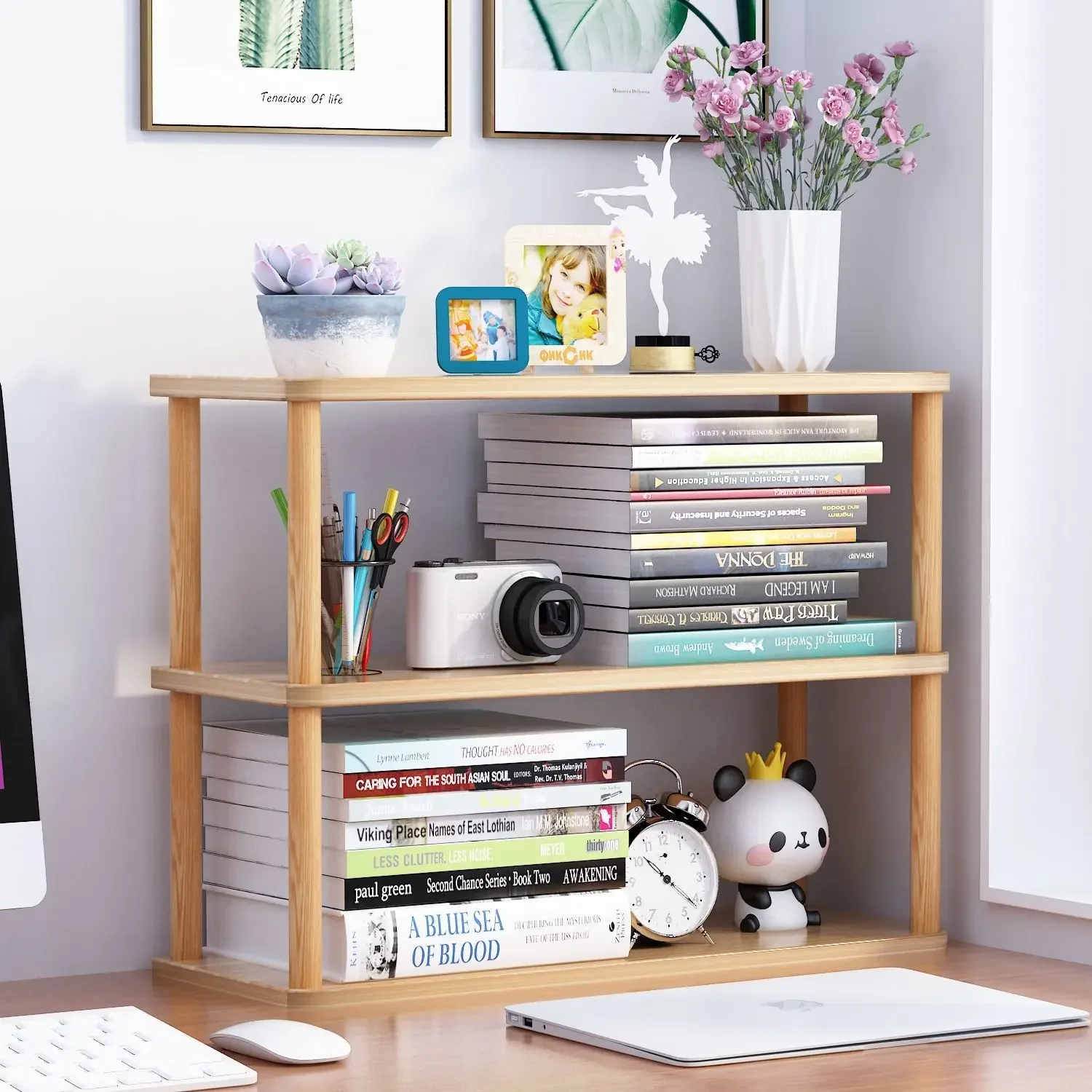 Bookcase Wooden Shelf Desktop  - Bookcase Wood Shelf recension och pris