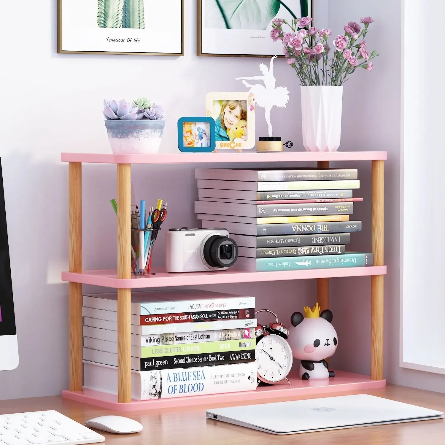 Bookcase Wooden Shelf Desktop  - Bookcase Wood Shelf recension och pris
